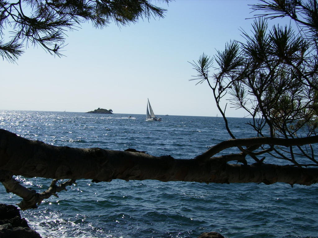 Apartments Carmelo Rovinj Dış mekan fotoğraf